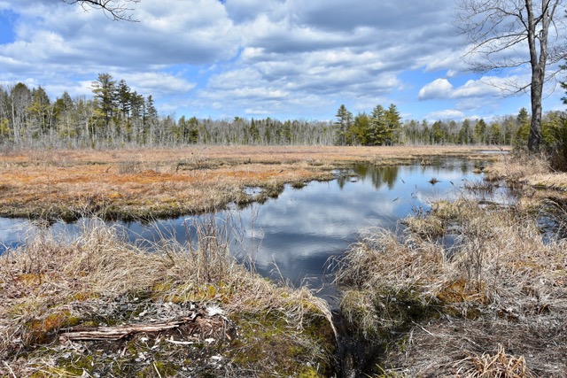 Keeping Maine's Sky Dark at Night  Cathance River Education Alliance